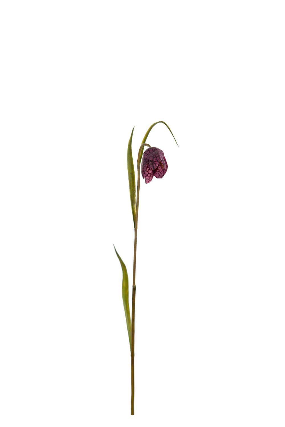 Konstgjord röd Frittilaria 35cm