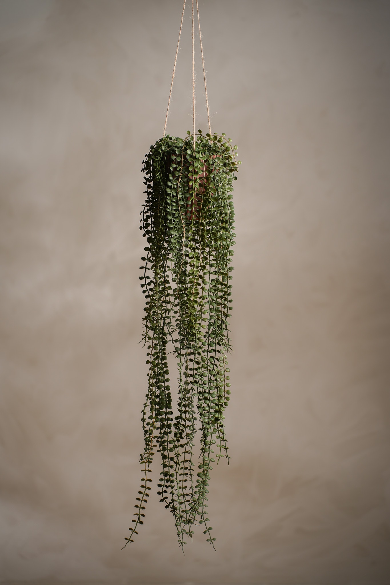 Konstgjord grön Senecio 15cm