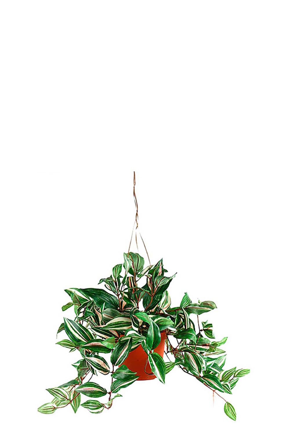 Konstgjord grön Tradescantia 40cm