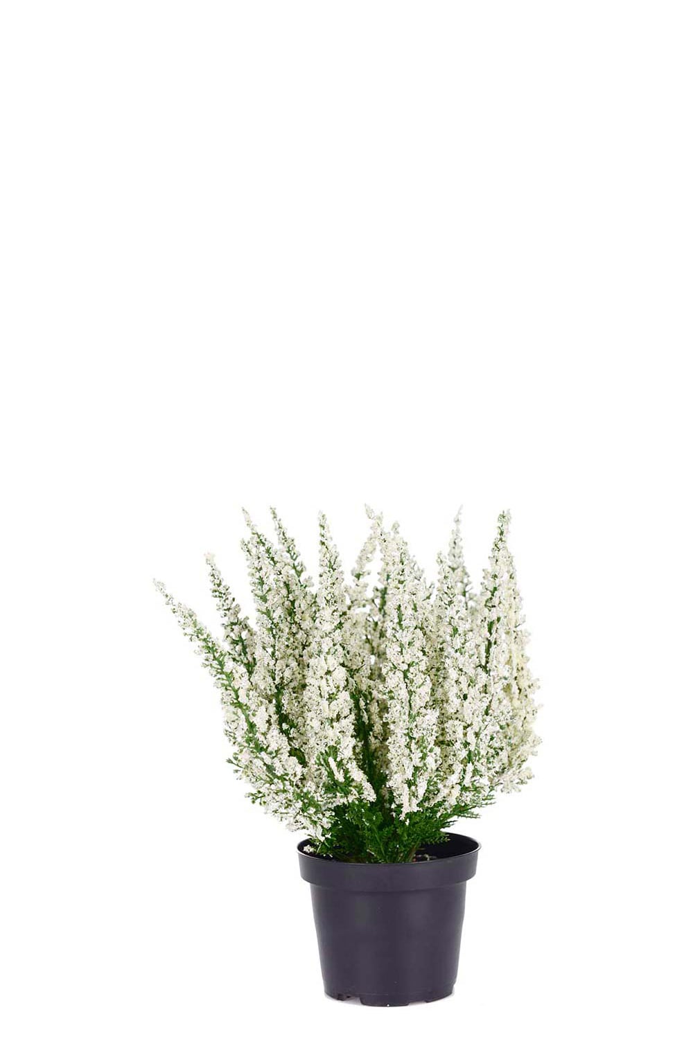 Konstgjord vit Ljung 28cm