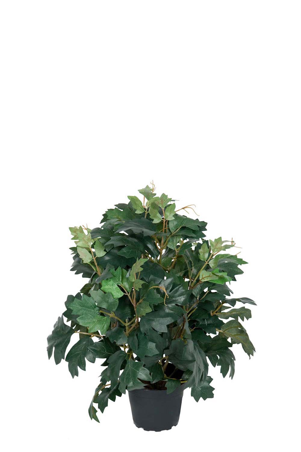 Konstgjord grön Cissus 35cm