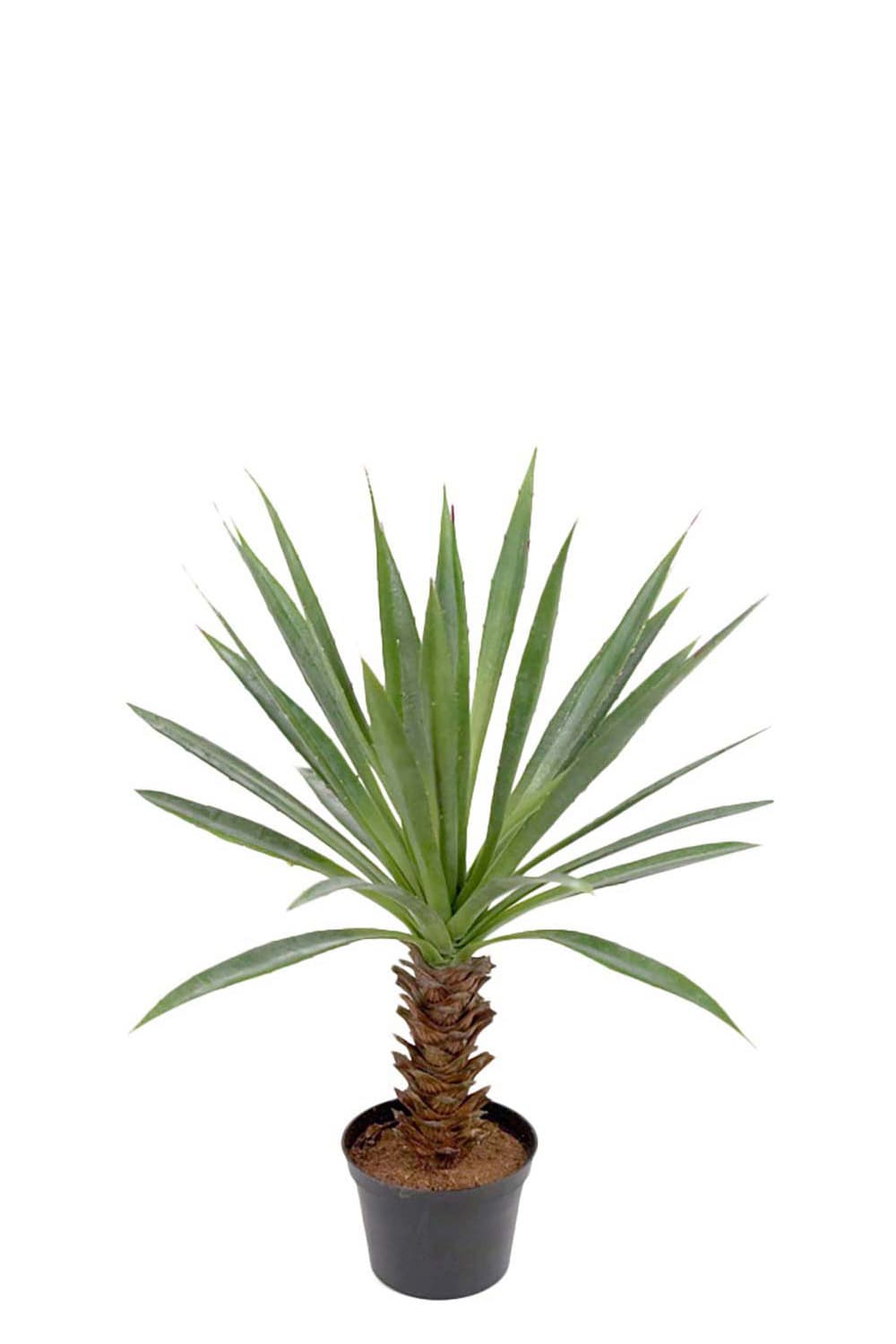 Konstgjord grön Agave 40cm
