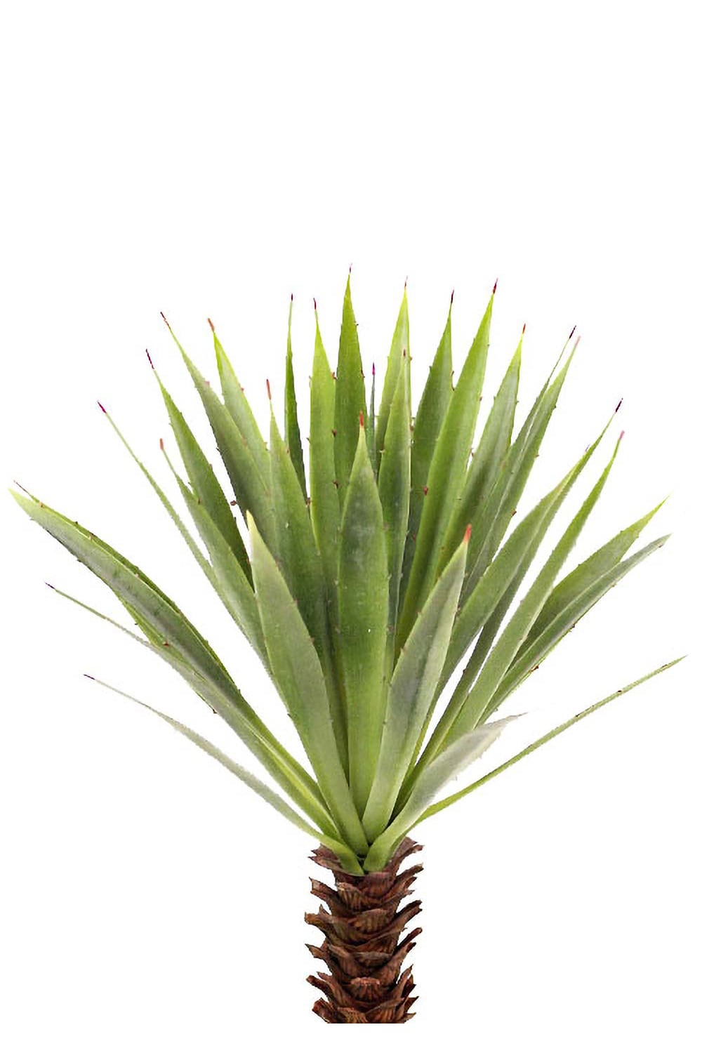 Konstgjord grön Agave 44cm