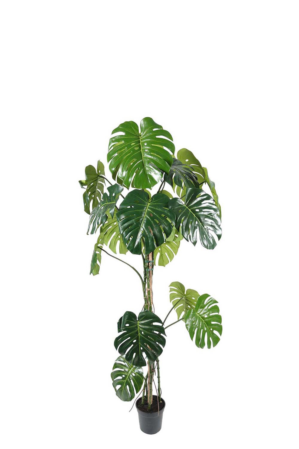 Konstgjord Monstera 180cm