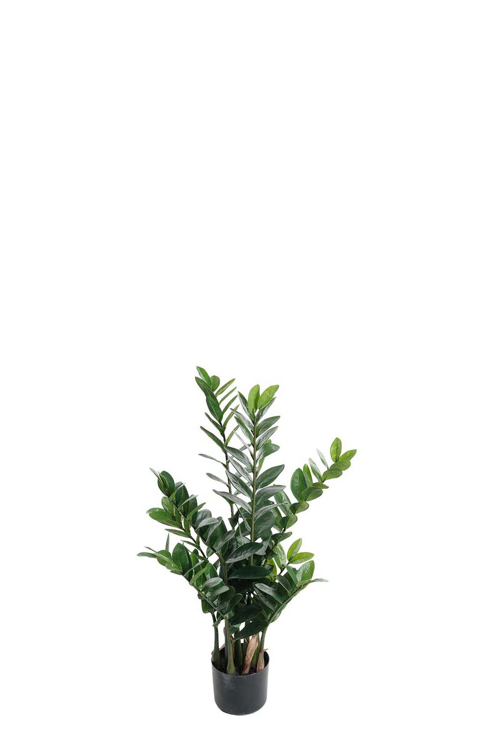Konstgjord grön Zamifolia 90cm
