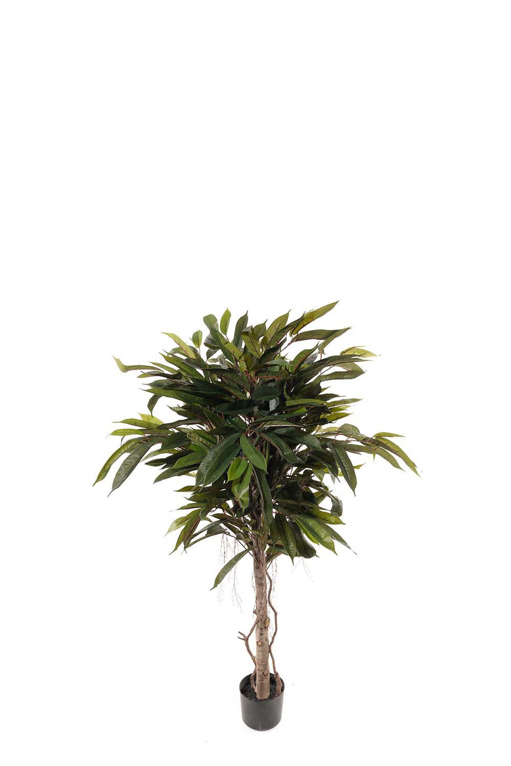 Konstgjord Longifolia 150cm