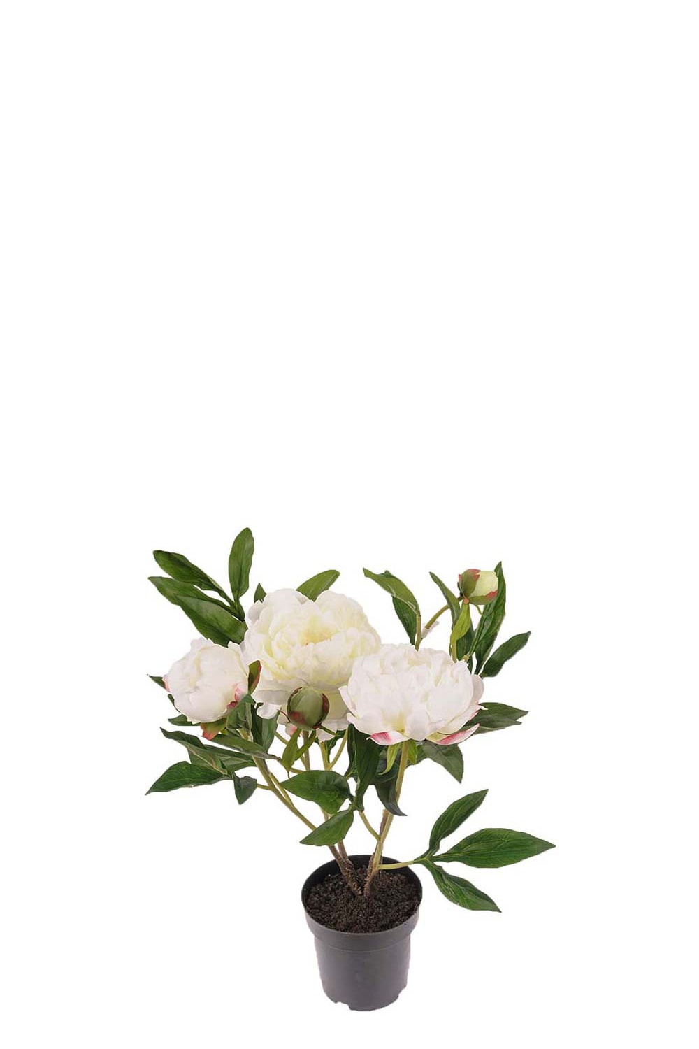 Konstgjord vit Pion 50cm