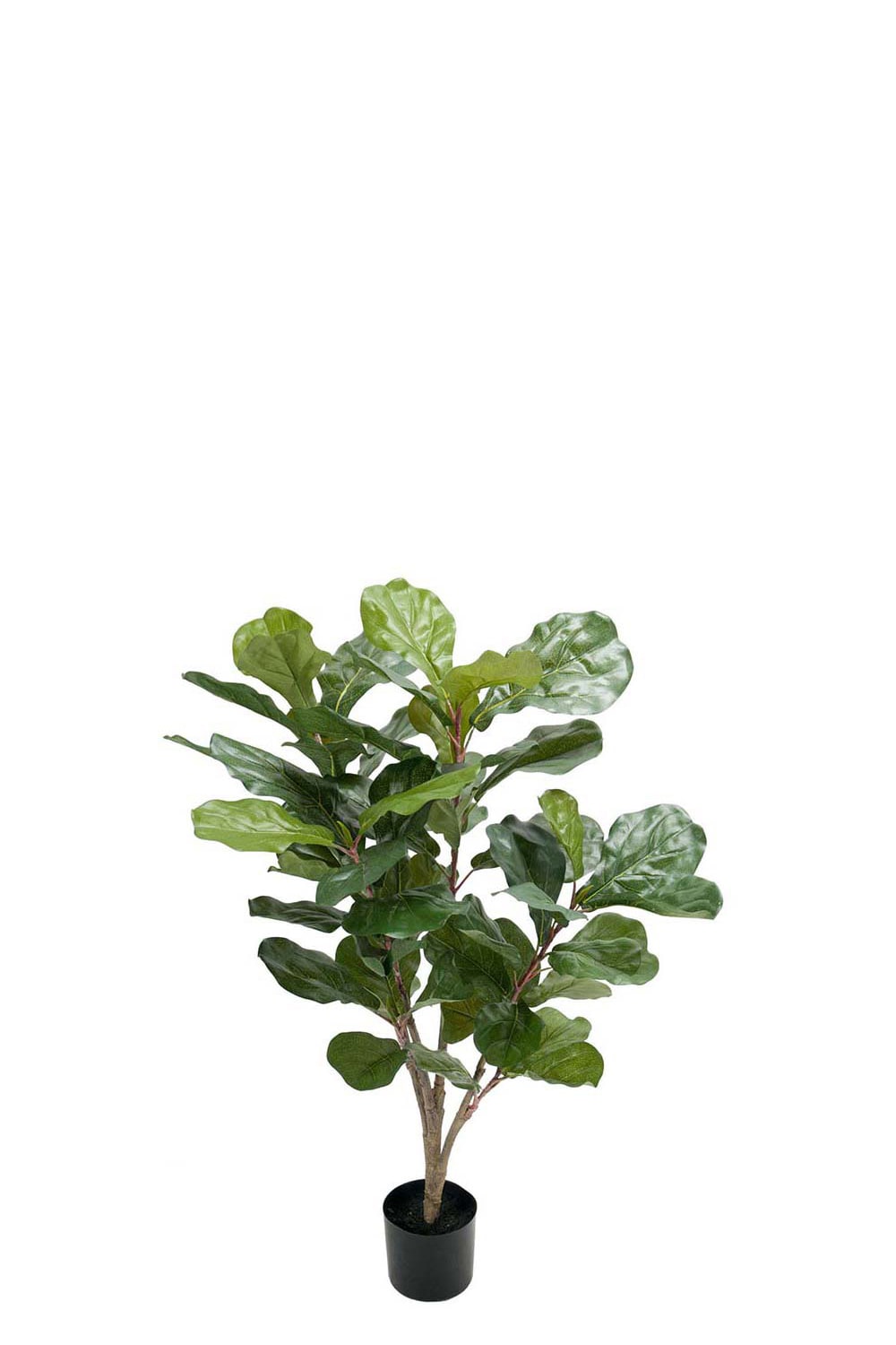 Konstgjord grön Fiolfikus 90cm