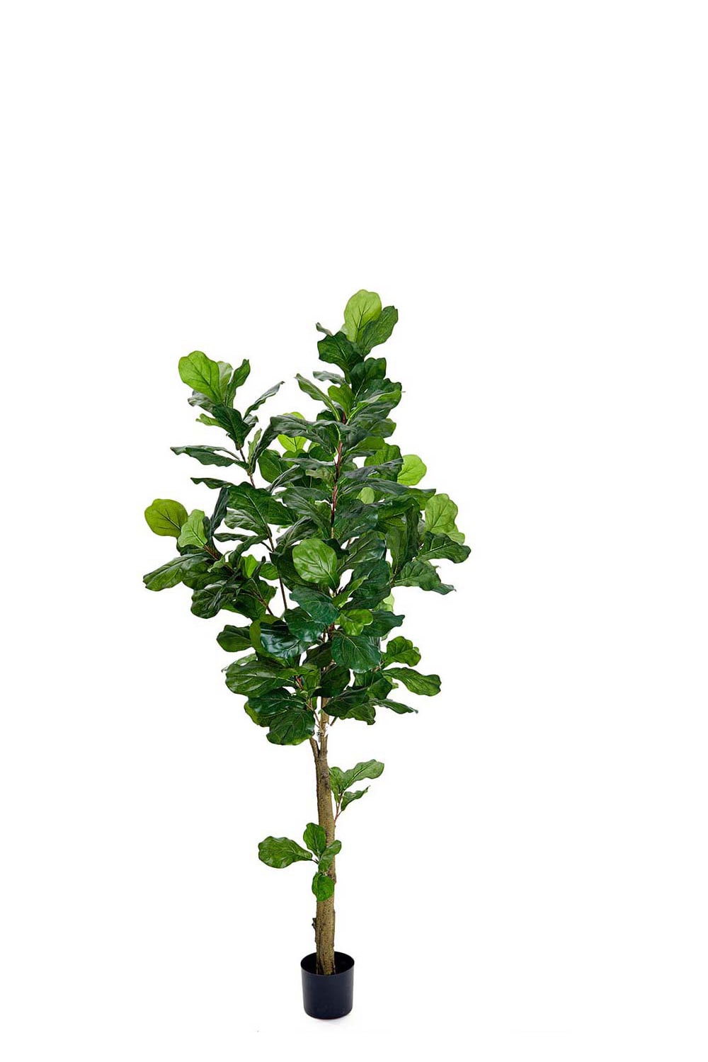 Konstgjord Fiolfikus 210cm