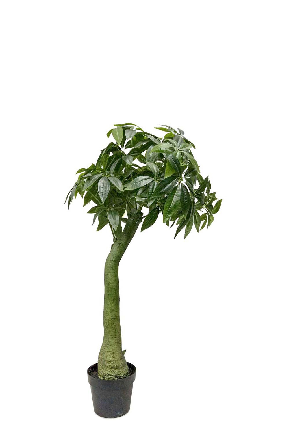 Konstgjord Pachira 160cm