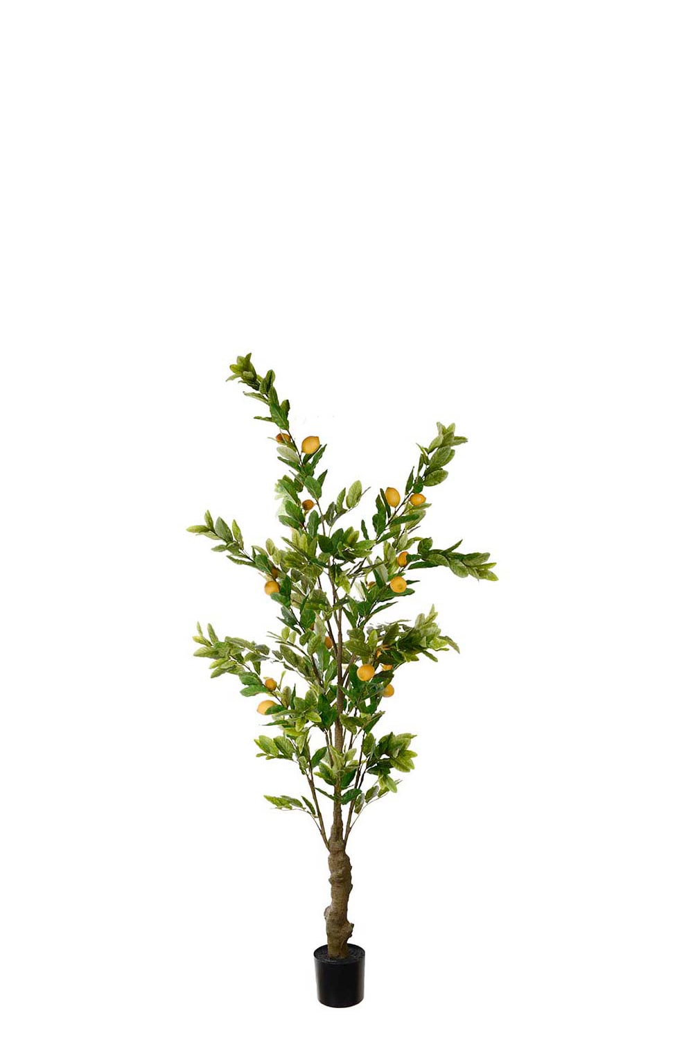 Konstgjord grön Citronträd 240cm