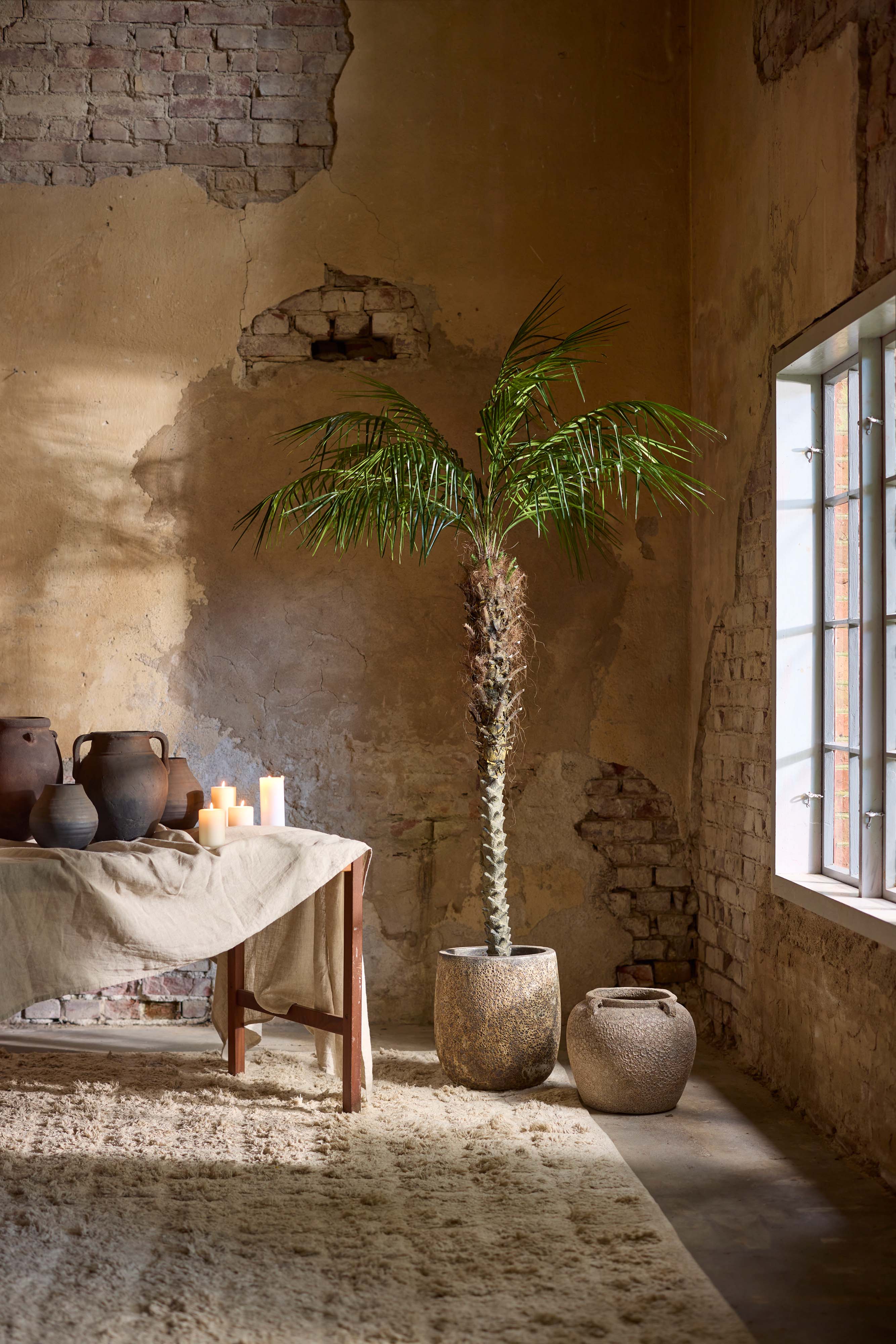 Konstgjord Phoenix Palm 210cm