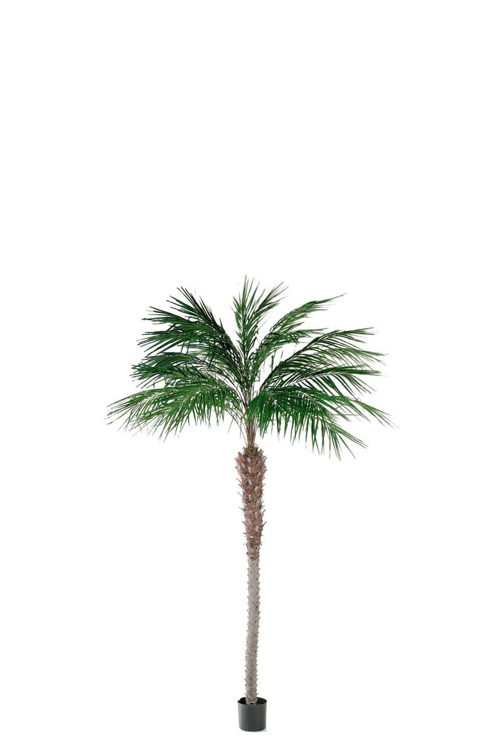 Konstgjord Phoenix Palm 240cm