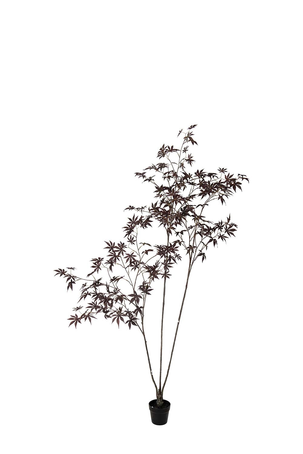 Konstgjord burgundy Japansk Lönn 220cm