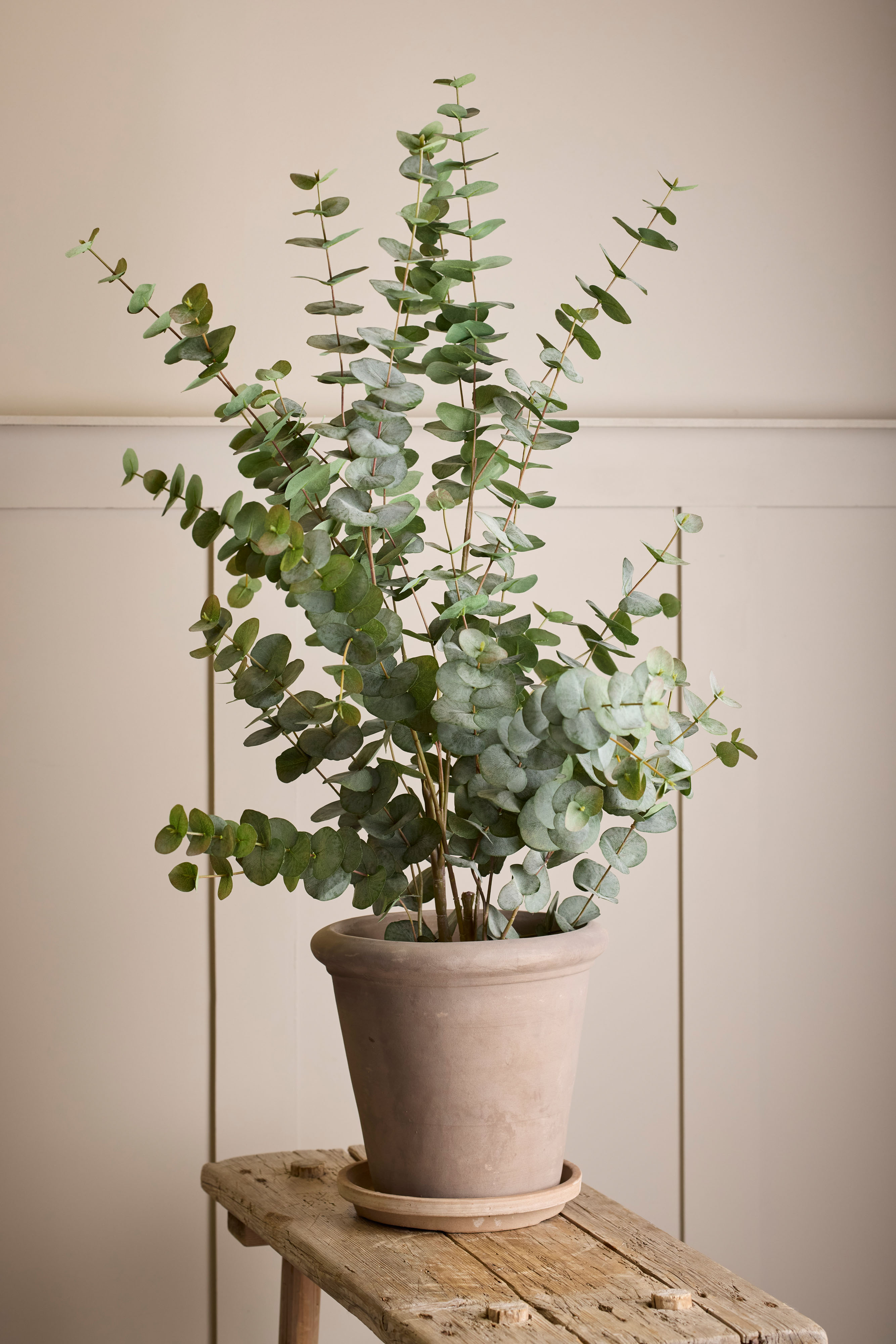 Konstgjord grön Eucalyptus 110cm