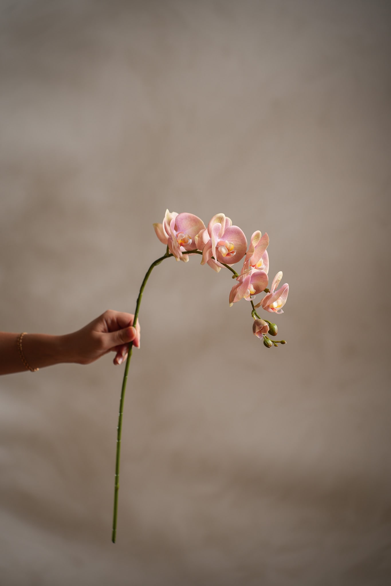 Konstgjord rosa Phalaenopsis 75cm