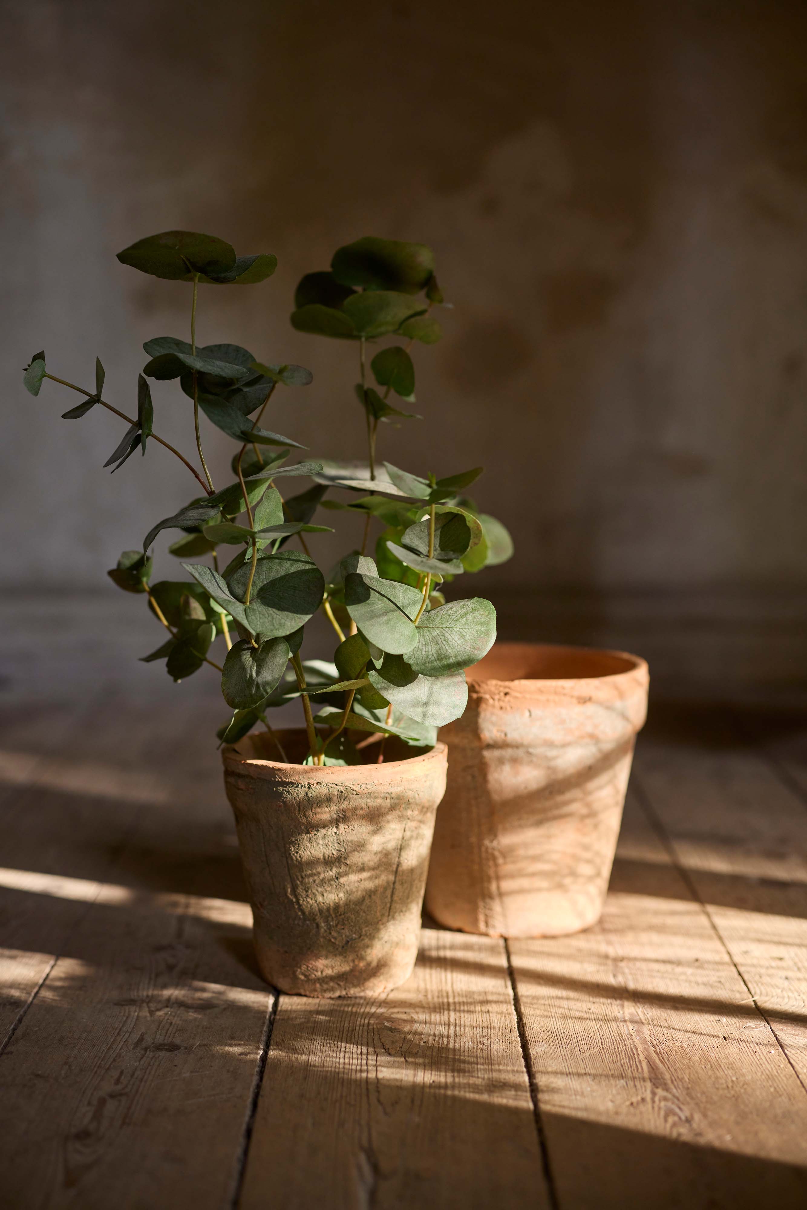 Konstgjord grön Eucalyptus 55cm
