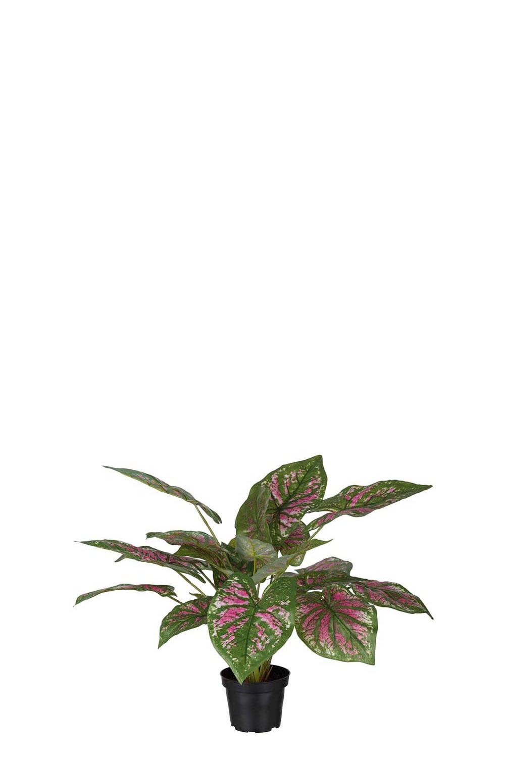 Konstgjord flerfärgad Caladium 40cm