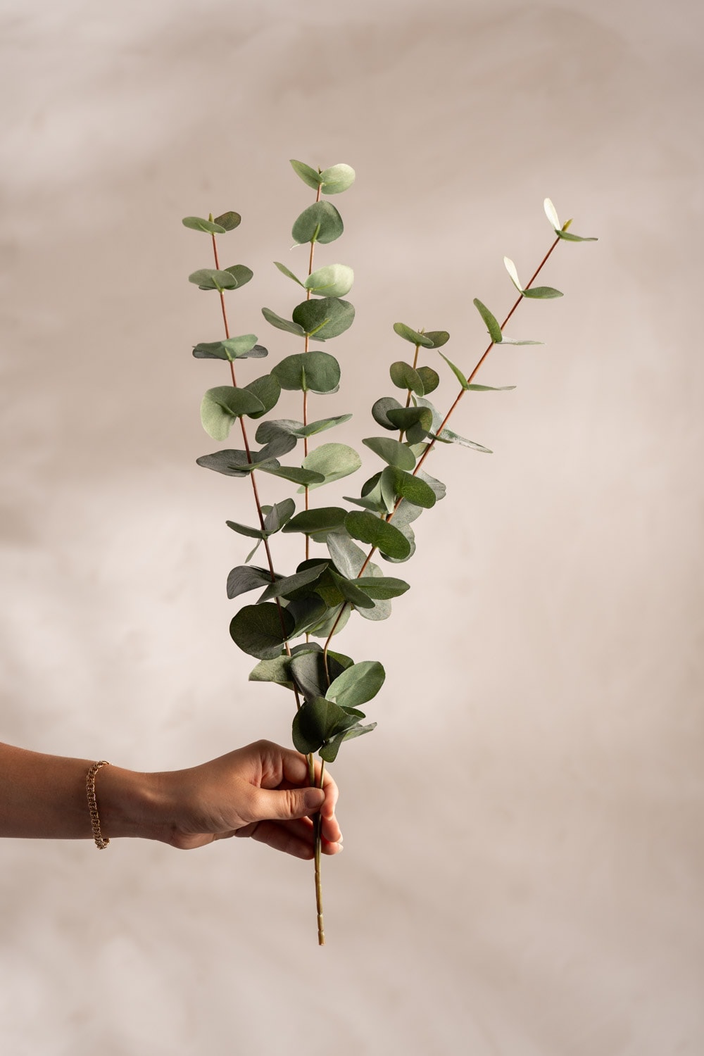 Konstgjord grön Eucalyptus 60cm